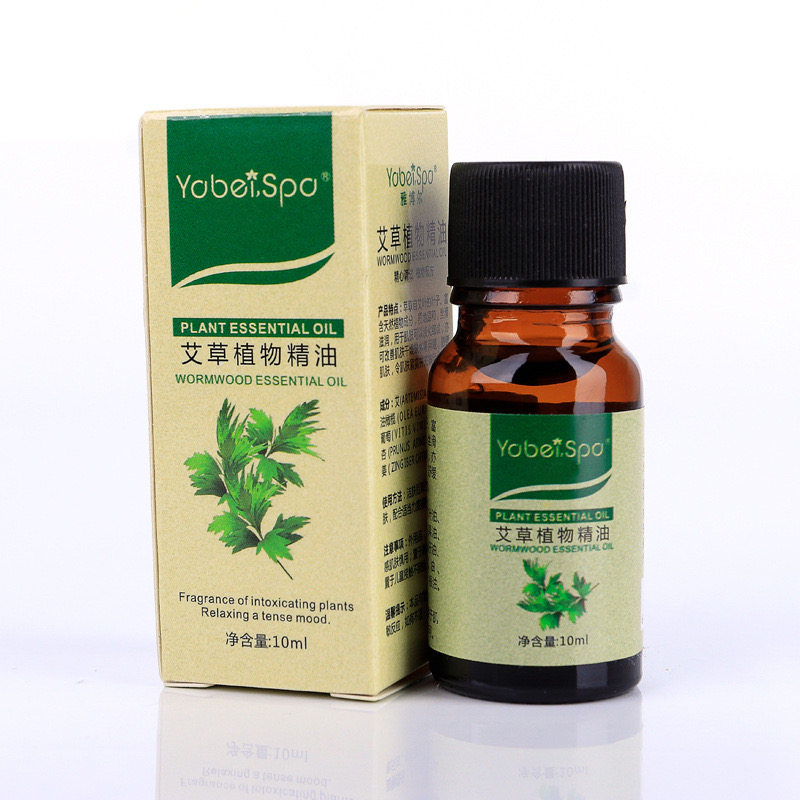 探索艾草精油的独特魅力