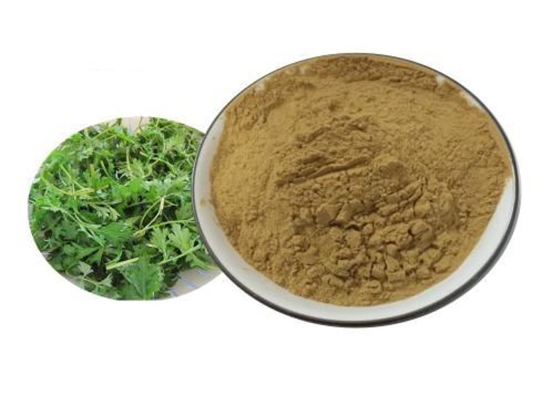 艾灸贴定制选购指南:让健康更有温度