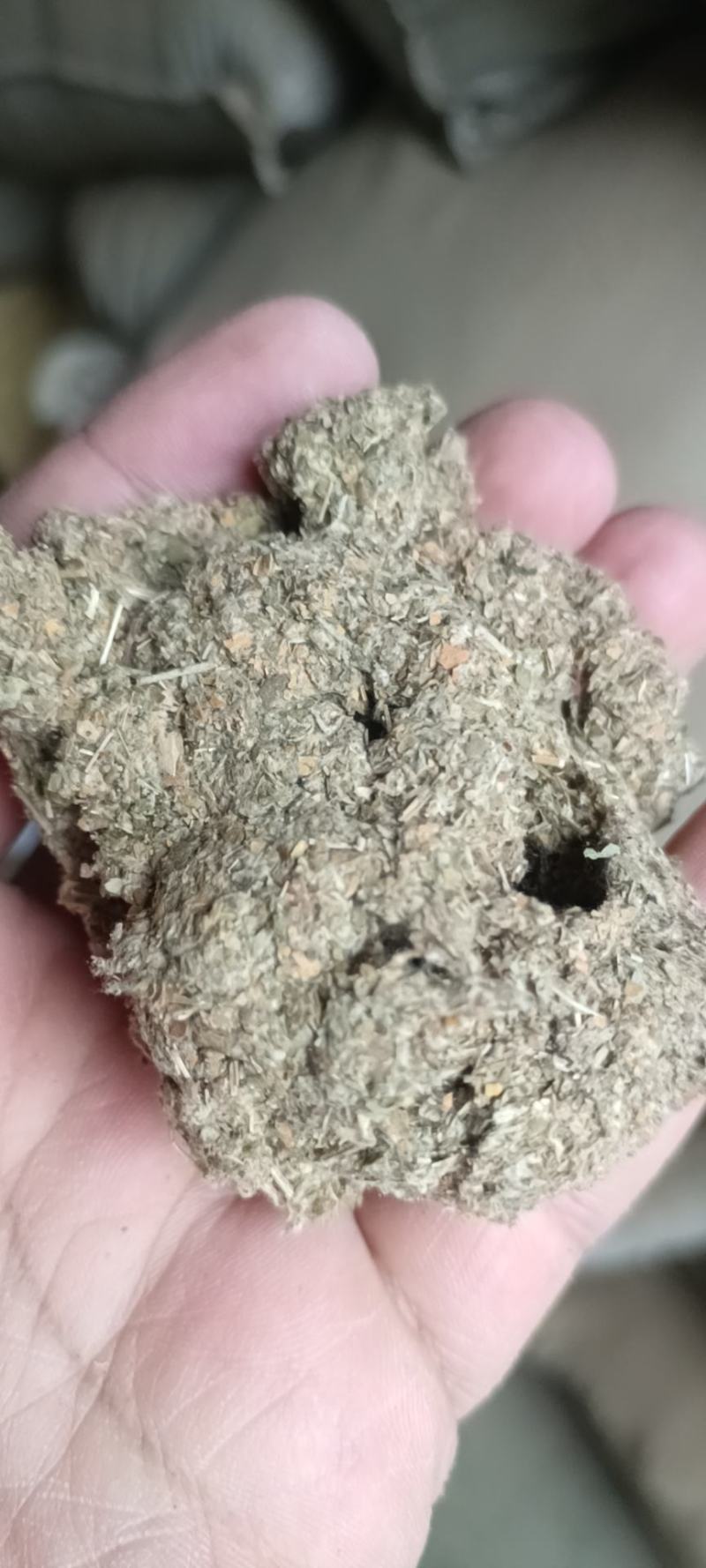 探索艾草精油的独特魅力